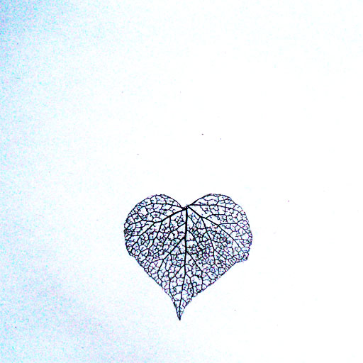 Wild things as love leaves